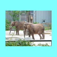 zoo 026.jpg